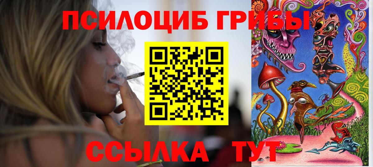 Псилоцибиновые грибы прущие грибы Калининград